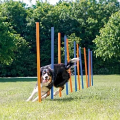 Agility pujottelueste Trixie 12 keppiä