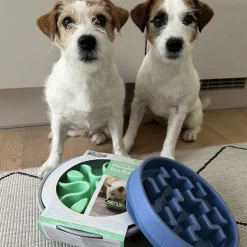 Ahmimisenestokuppi Outward Hound Wobble bowl