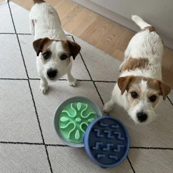 Ahmimisenestokuppi Outward Hound Wobble bowl