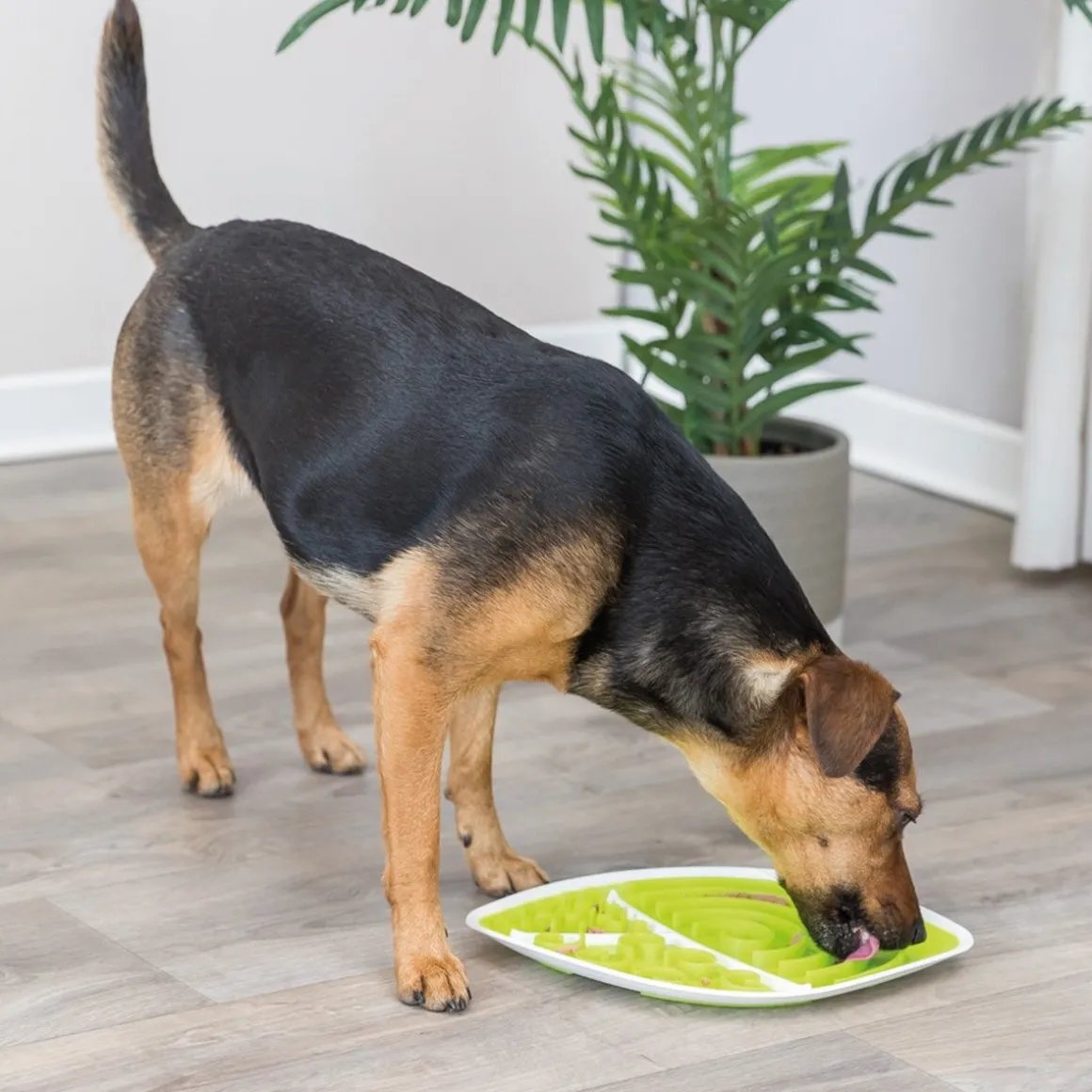Aktivointilelu Trixie Lick'n'Snack Plate lehti