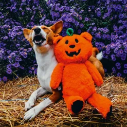 Beeztees Halloween Pumpkin Bear