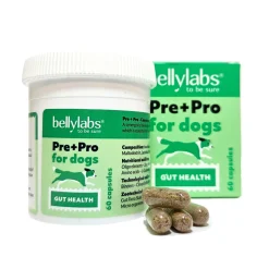 Bellylabs Pre+Pro 60 kapselia