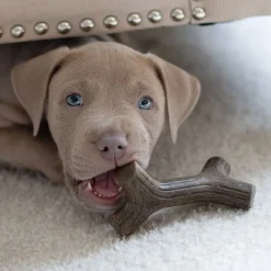Benebone Puppy 2 kpl - Maplestick/Zaggler Bacon Tiny