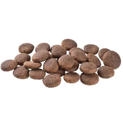 Brit Care Dog Adult Large Breed Grain-Free Salmon