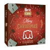 Brit Care Joulukalenteri koiralle 240g