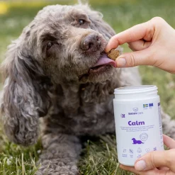 BuddyCare Calm 150 g