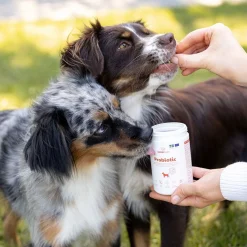 BuddyCare Probiotic 150 g