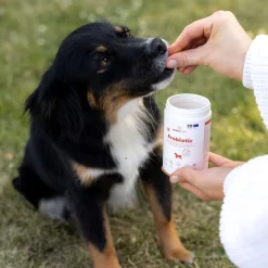 BuddyCare Probiotic 150 g