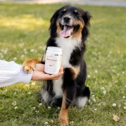 BuddyCare Skin & Coat 150 g