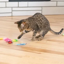 Catstages Cute As A Bug kissanlelut 6-pack