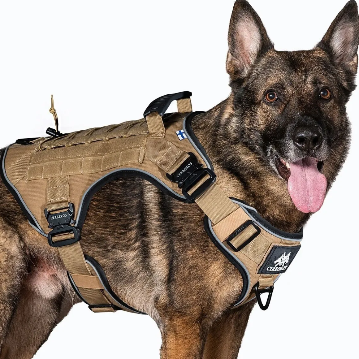 Cerberos Tactical koiran valjaat, Desert Brown