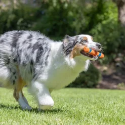 Chuckit Ultra Fetch Stick