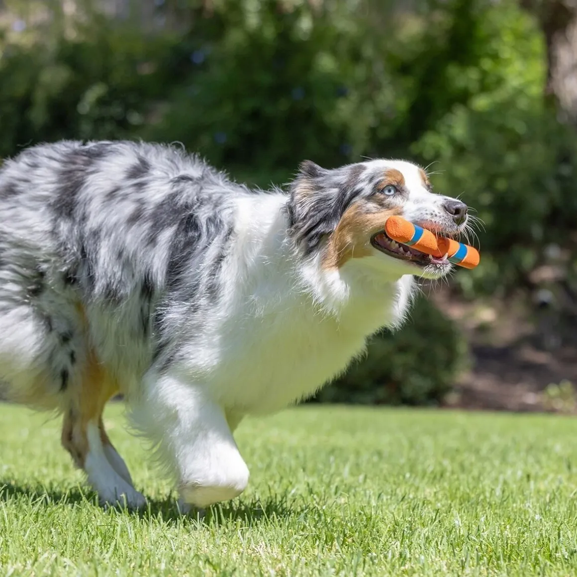 Chuckit Ultra Fetch Stick