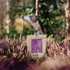 ESSENTIAL HIGHLAND LIVING SMALL BREED 2,5kg