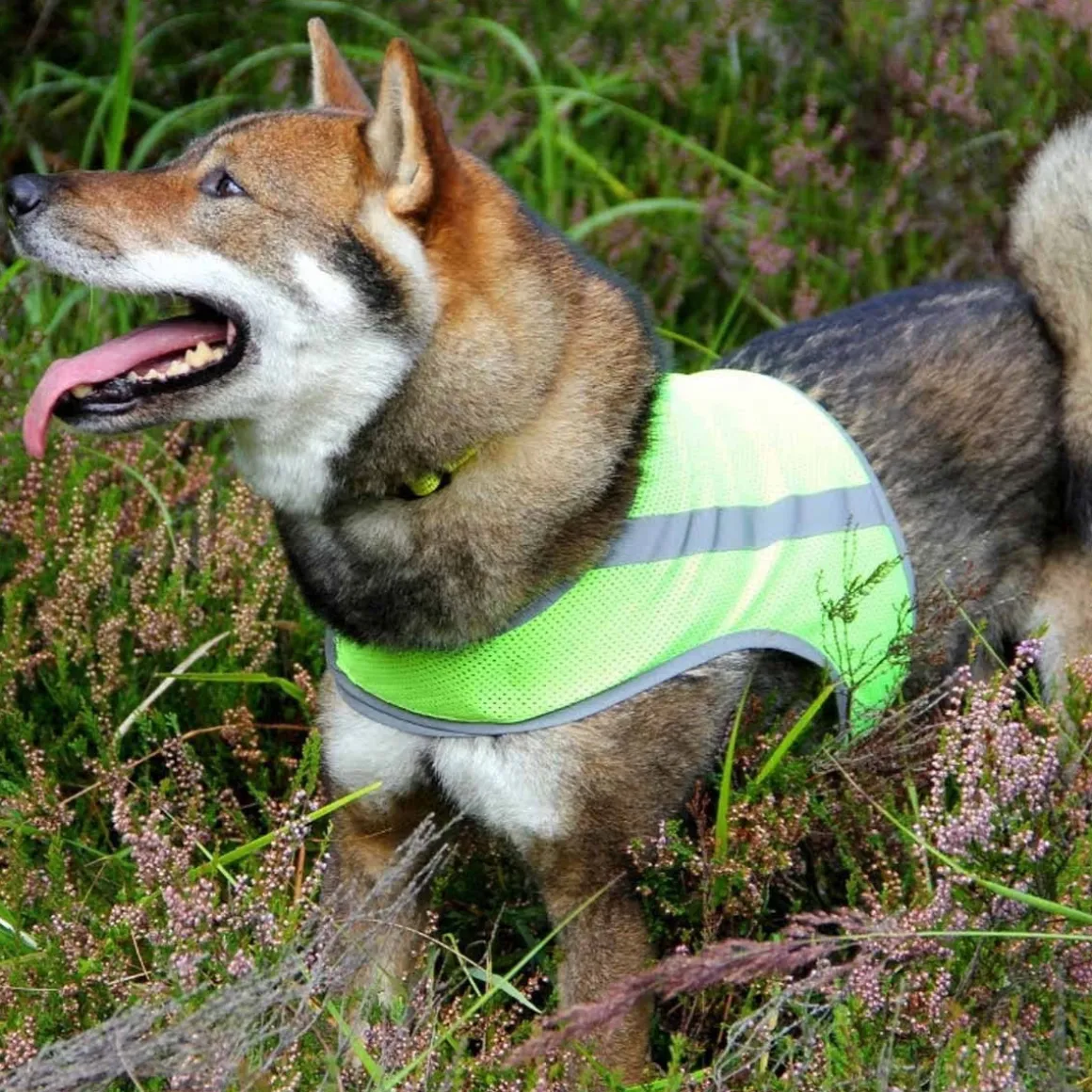 FinNero Atte huomioliivi, keltainen