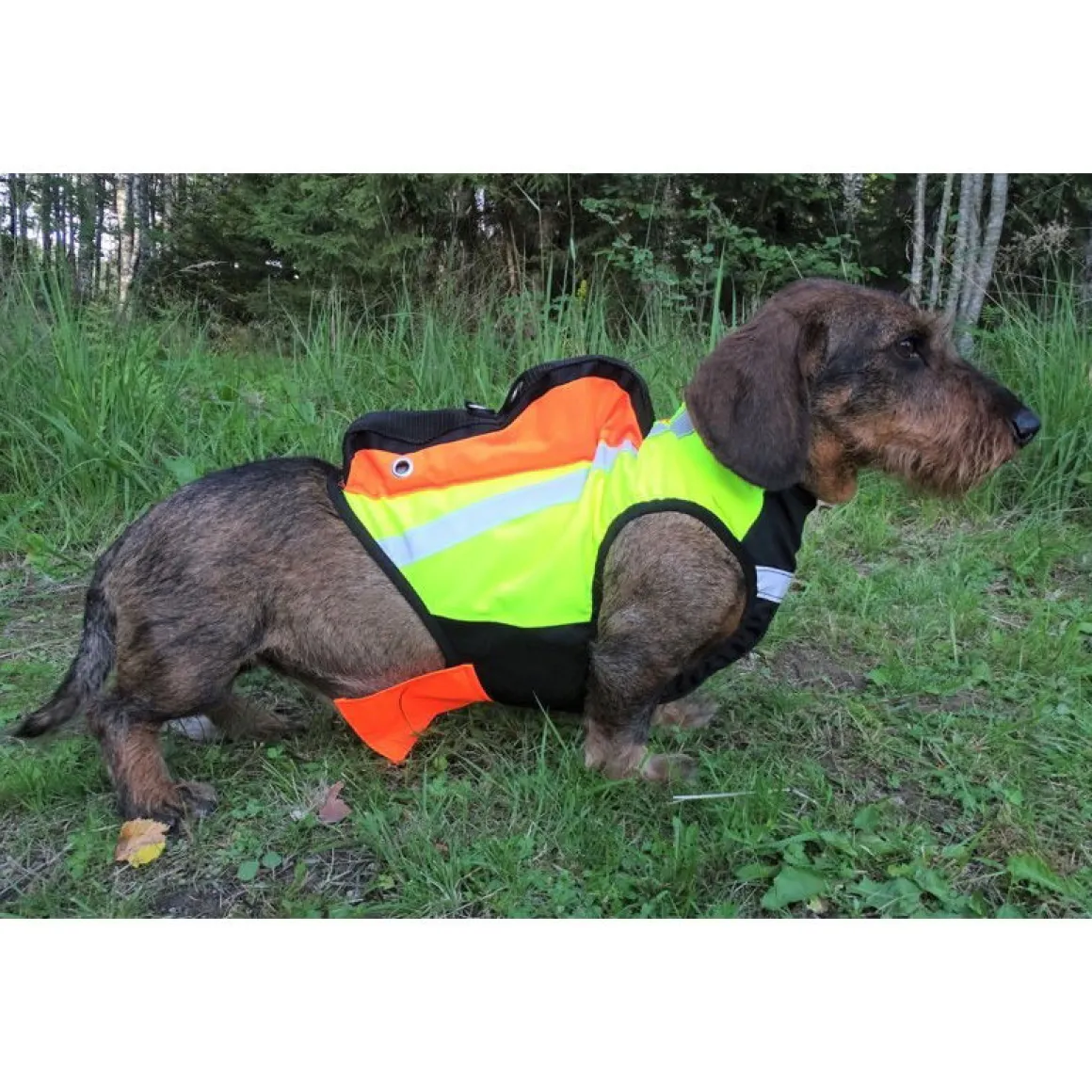 GPS-huomioliivi Inari, Kardog