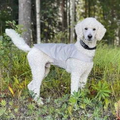Heijastinliivi koiralle Icepeak Pet Brightly
