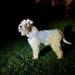 Heijastinliivi koiralle Icepeak Pet Brightly