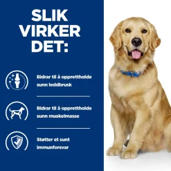 Hill's Prescription Diet Canine j/d Mobility Chicken 2x12 kg