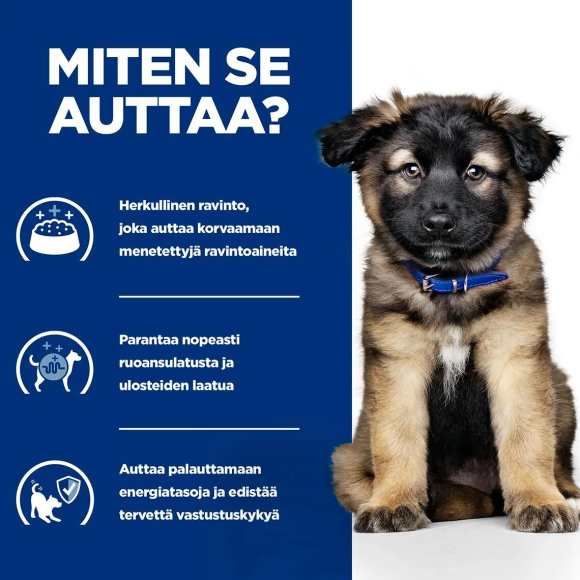 Hill's Prescription Diet Puppy i/d wet