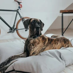 Hunter Dog Bed Lancaster Grey