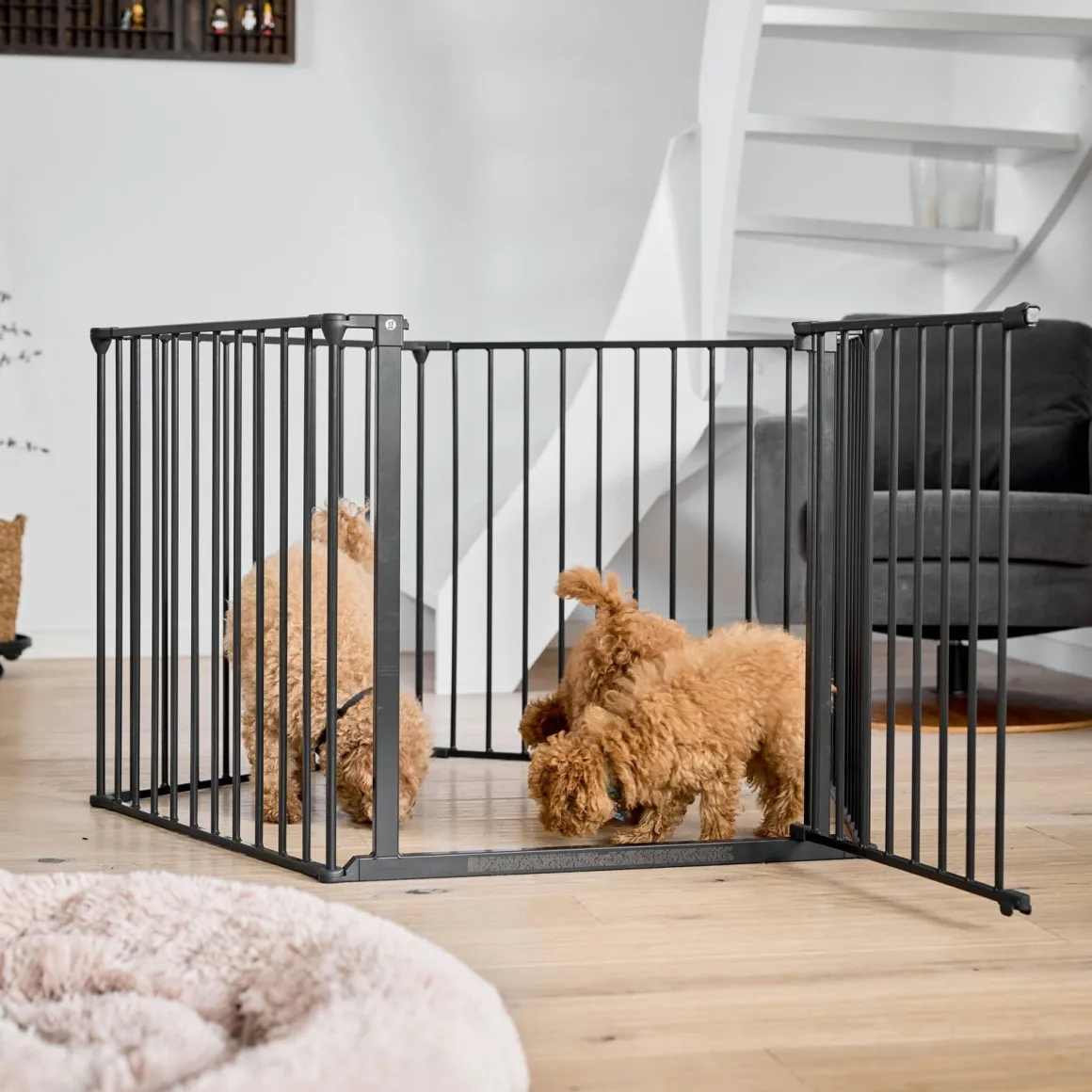 Huoneenjakaja DogSpace Max 2 in 1