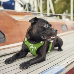 Hurtta Weekend Warrior II ECO valjas persilja