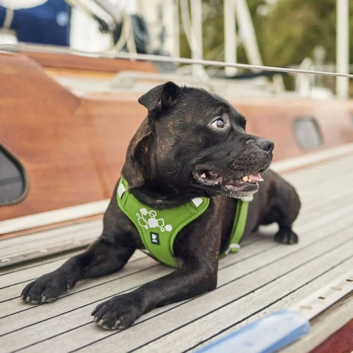 Hurtta Weekend Warrior II ECO valjas persilja