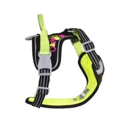 Hurtta Weekend Warrior Neon-valjaat, lakritsi