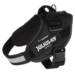 Julius-K9 IDC Power koiran valjaat, musta