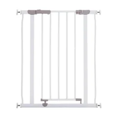Kapea koiraportti Basic Sturdy Basic Sturdy