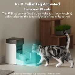 Kissan ruokinta-automaatti Petlibro One RFID-lukijalla