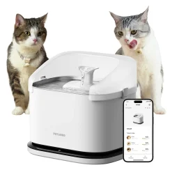 Kissojen juoma-automaatti Petlibro Dockstream RFID Multi Cats