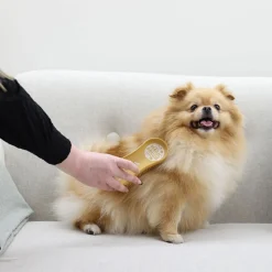 Koiran harja MagicBrush Dog Soft