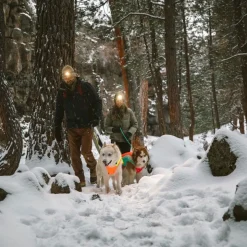 Koiran heijastintakki Ruffwear Lumenglow