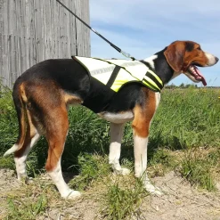 Koiran metsästysliivi Rymy, Kardog