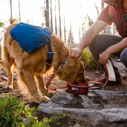 Koiran reppu Ruffwear Front Range, sininen