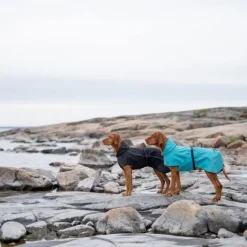 Koiran sadetakki Feel Active Göteborg musta