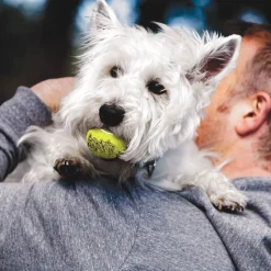KONG Airdog Squeaker Tennis Ball, 3 kpl