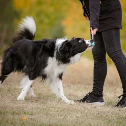 Kosketuskeppi Pro Dog Target telesk.