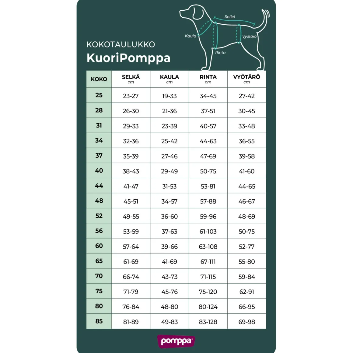 KuoriPomppa, grafiitti