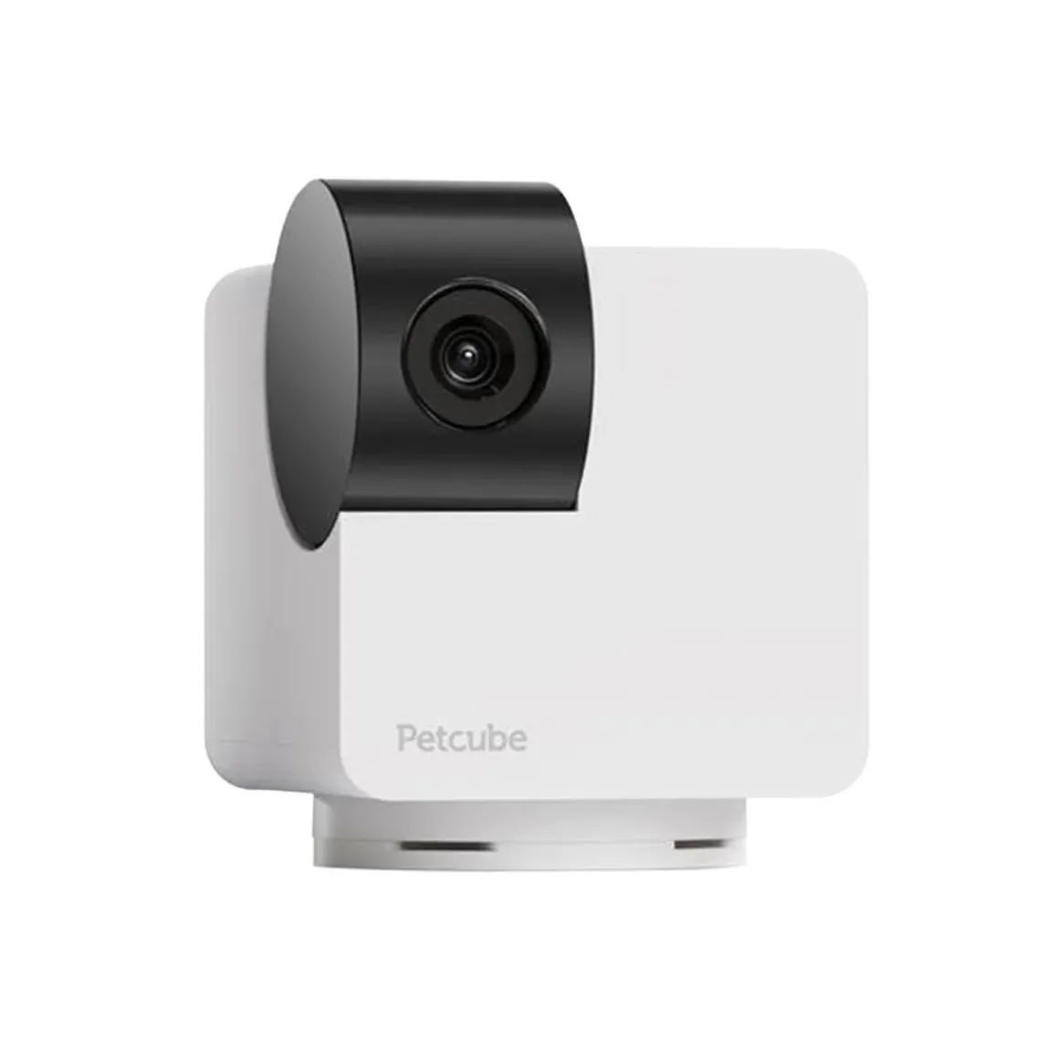 Lemmikkikamera PetCube Cam 360