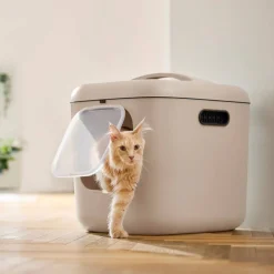 MyPet Biala Kissanvessa XL