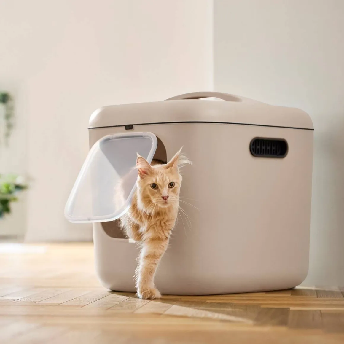 MyPet Biala Kissanvessa XL