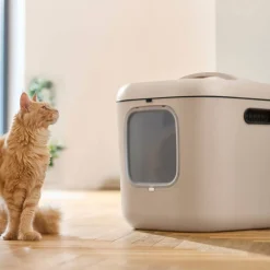 MyPet Biala Kissanvessa XL