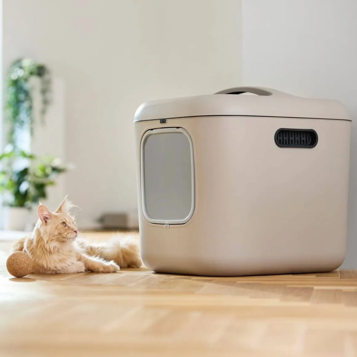 MyPet Biala Kissanvessa XL