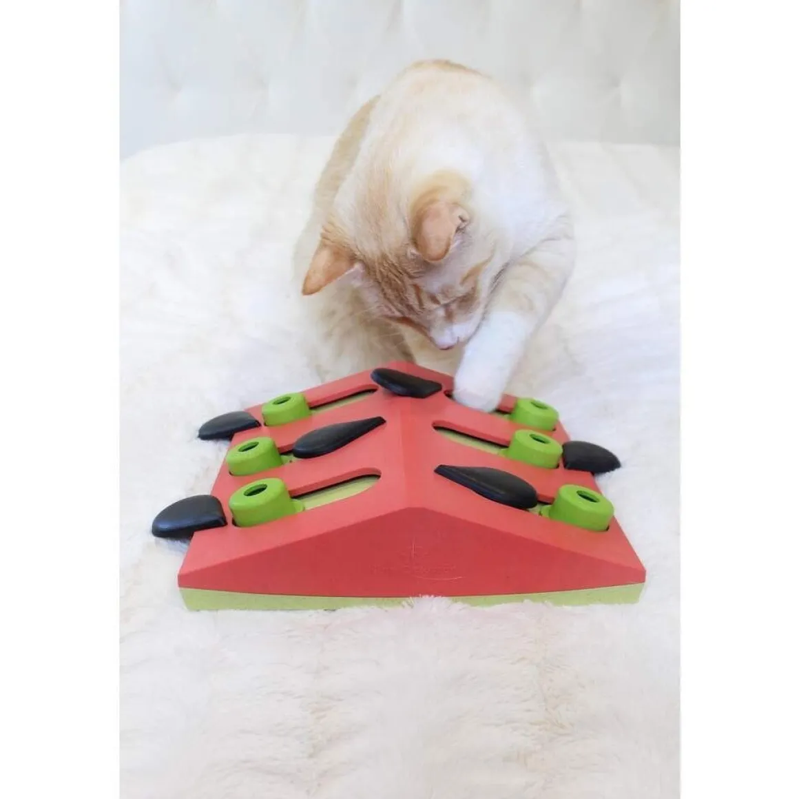 Nina Ottosson Cat Melon Madness Puzzle and Play punainen