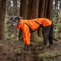 Non-stop dogwear Fjord 2.0 sadehaalari koiralle