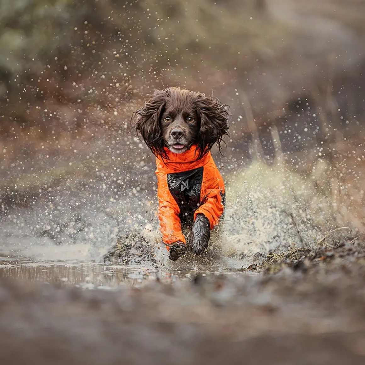 Non-stop dogwear Fjord 2.0 sadehaalari koiralle