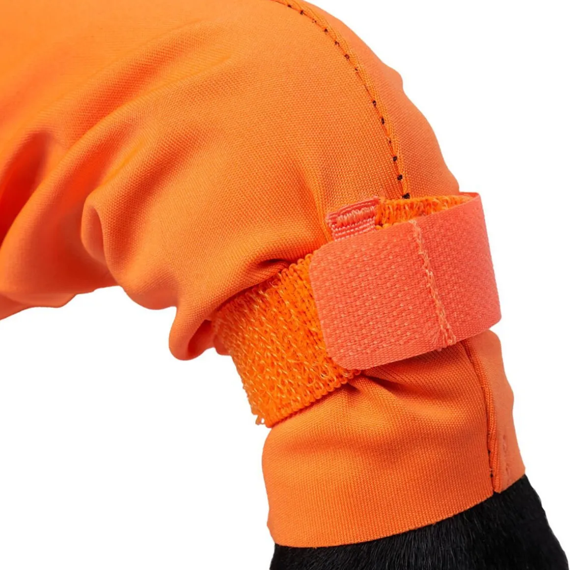 Non-stop dogwear Protector puku, urosmalli